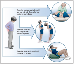 Low Back Pain Treatment